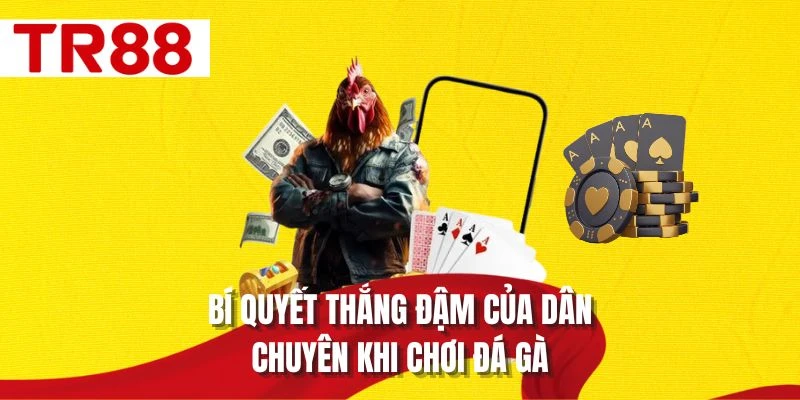 Bí quyết thắng đậm của dân chuyên khi chơi đá gà